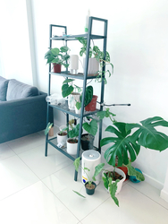 Blk 802C Keat Hong Crest (Choa Chu Kang), HDB 4 Rooms #319630061